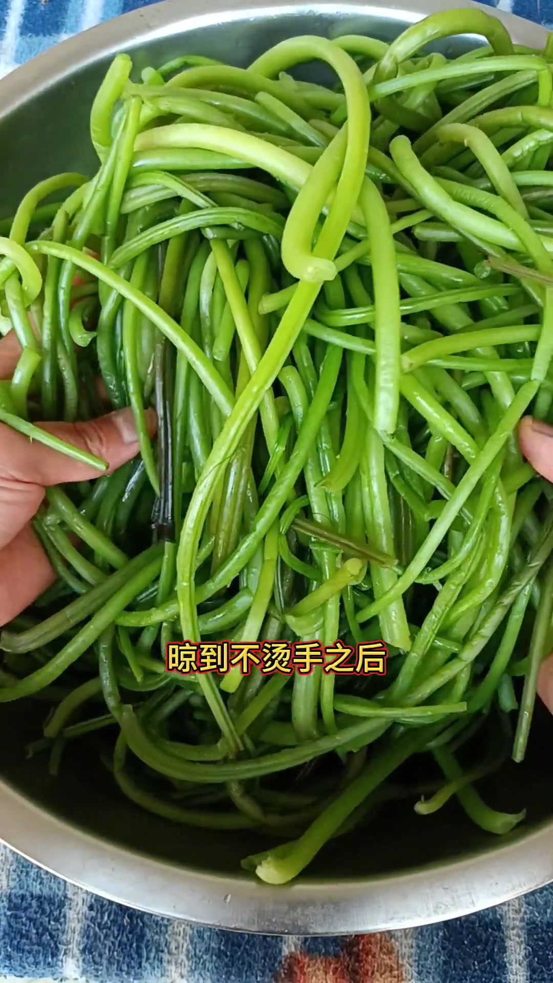 农村到处都是宝,平常拿来喂猪喂羊的红薯秧子,简单加工成梅干菜