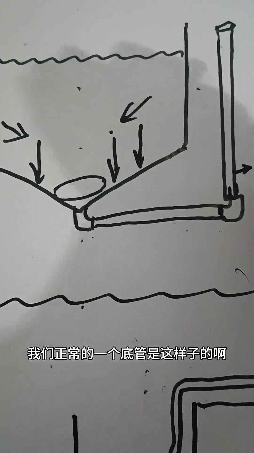 池塘排污问题 对虾养殖技术