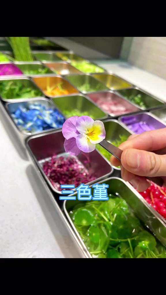 冷菜装盘花草图片来了!你还在不知道用什么花草点缀菜品而烦恼嘛?我给你整理出来了。美食官冷菜