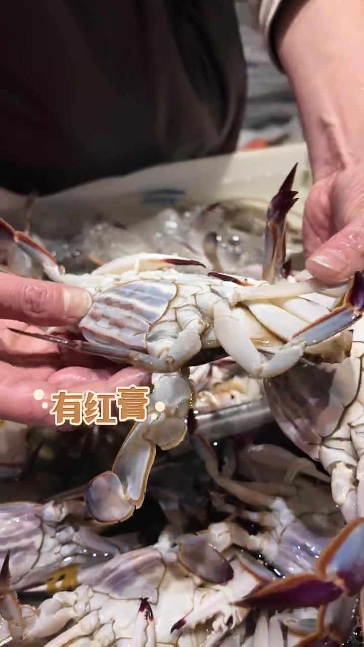 「鱼鲜蟹肥,品尝海鲜的黄金季来啦~」食尚小布冬季,宁波的海鲜市场热闹起来,梭子蟹个大肉肥;