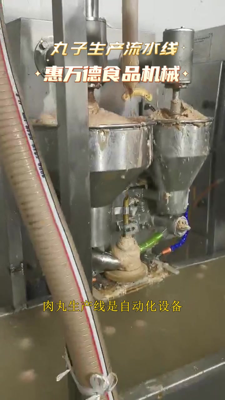 鸡肉丸子生产线诸城惠万德 包心鱼丸自动蒸煮设备惠万德机械