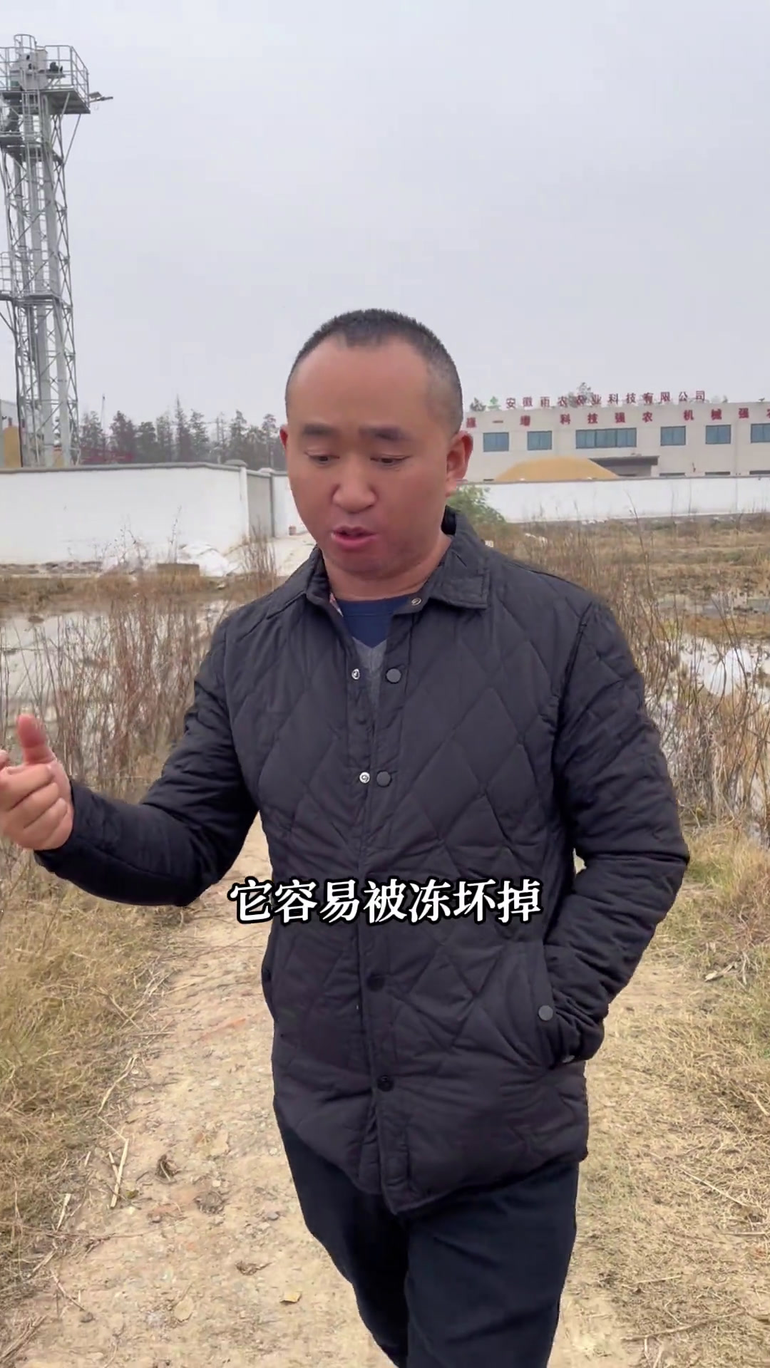 你们家乡有这种虾稻共生的种植模式吗?