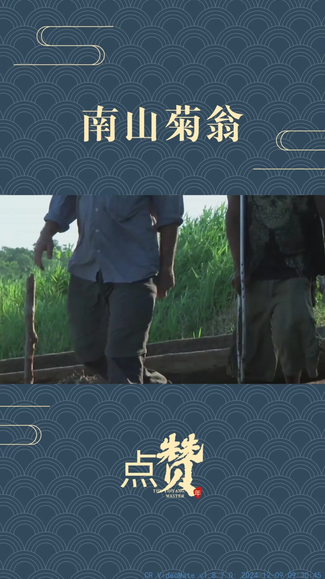 比巨骨舌鱼杀伤力更强的咸水杀手,能将人的额头撞出坑
