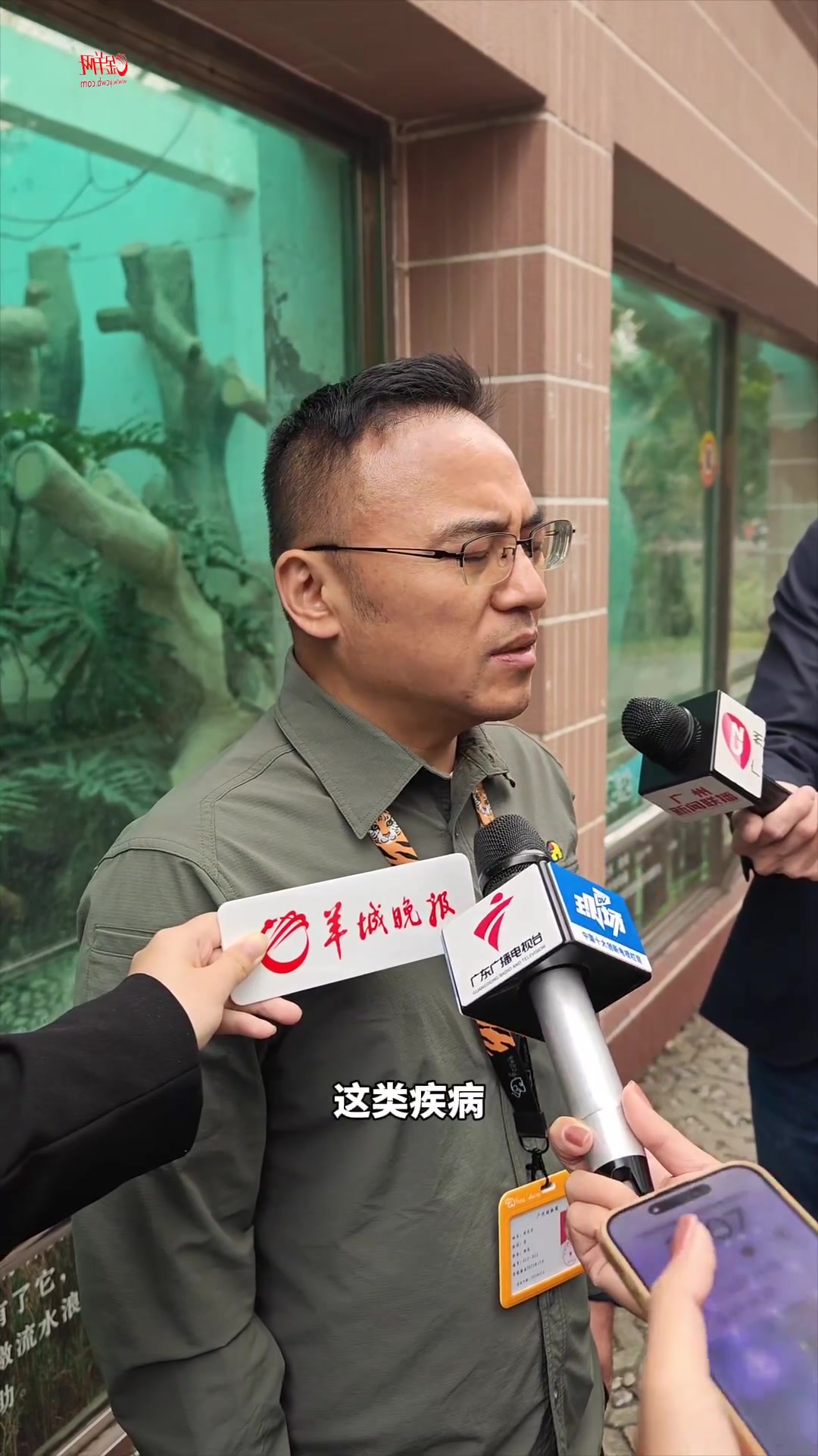 有鳄鱼瘦成“皮包骨”?广州动物园最新回应:病了,正接受治疗