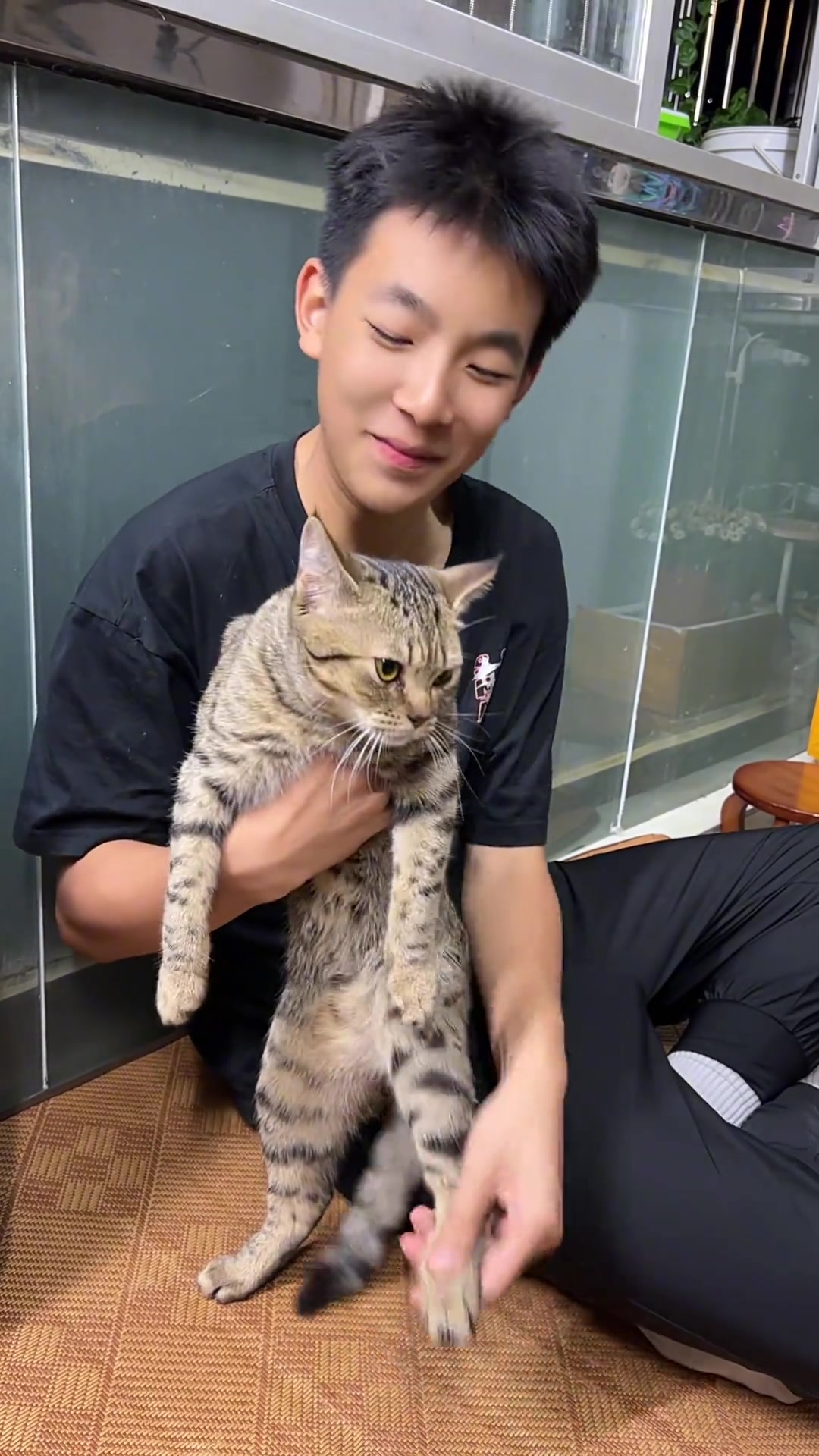 没一口猫粮是白吃的被迫营业的猫猫 小猫扭腰舞