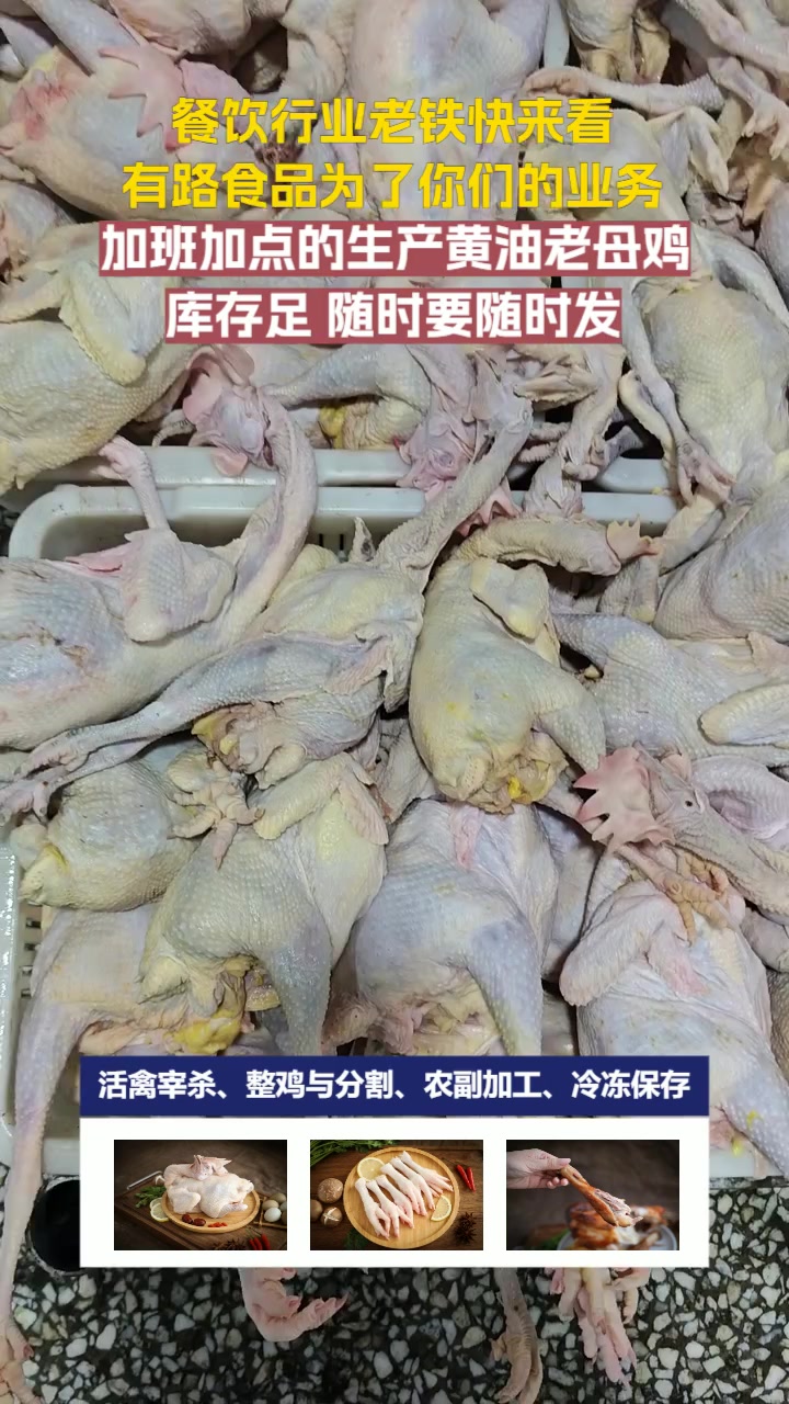 老鸡爪 老鸡大胸多少钱