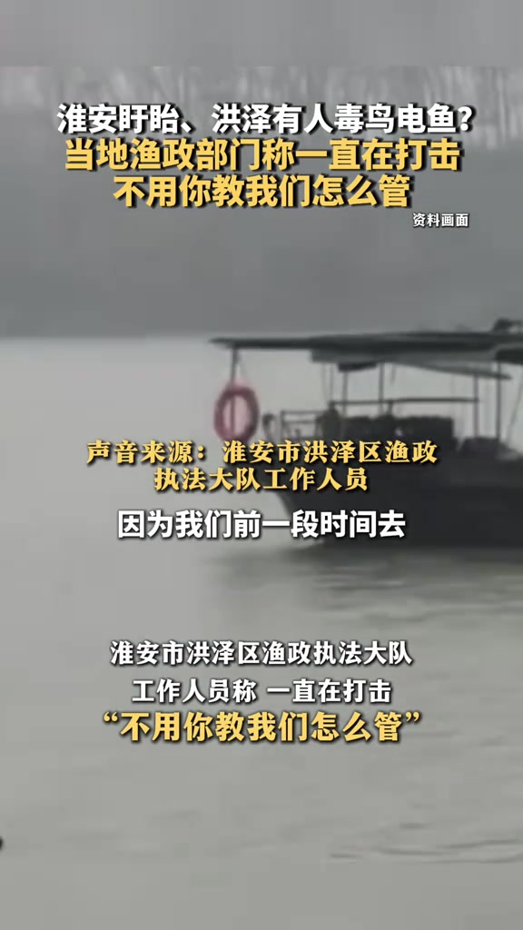 淮安盱眙、洪泽有人毒鸟电鱼?当地渔政部门称一直在打击 不用你教我们怎么管