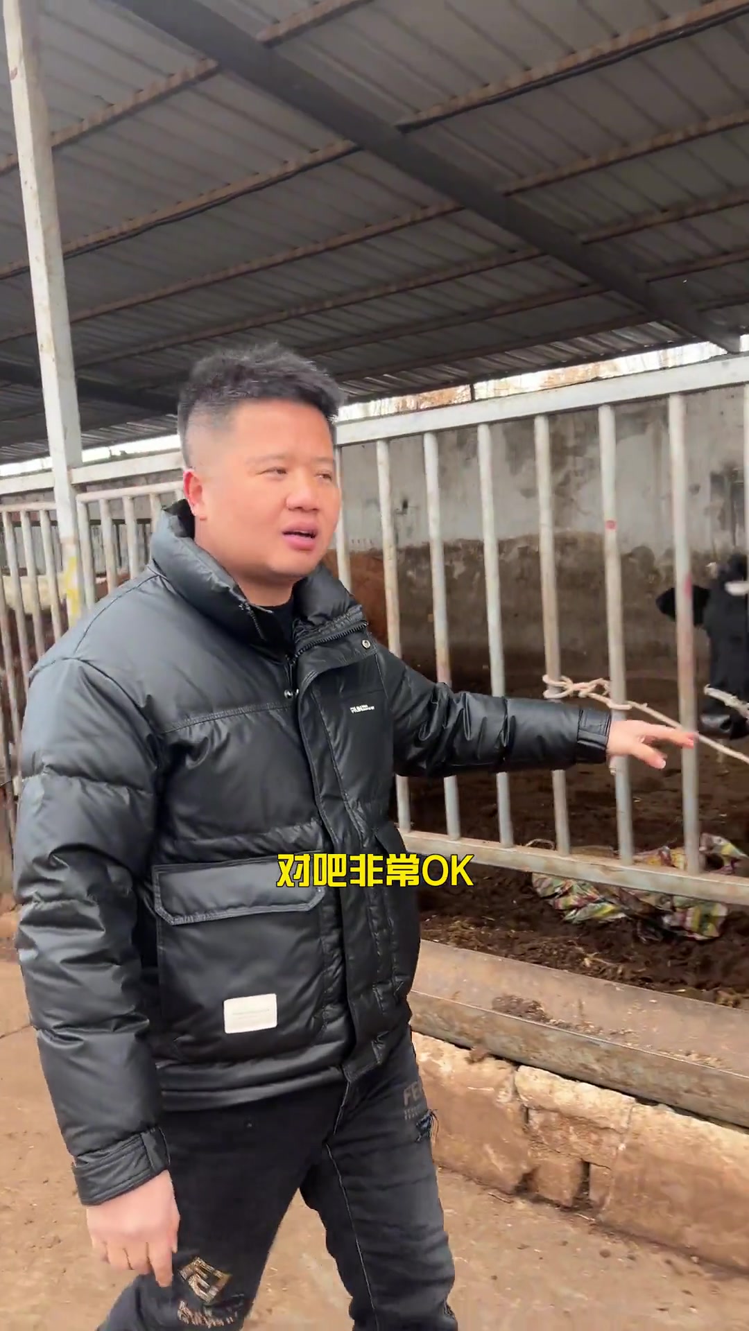 大家觉得新疆的骆驼肉怎么样?