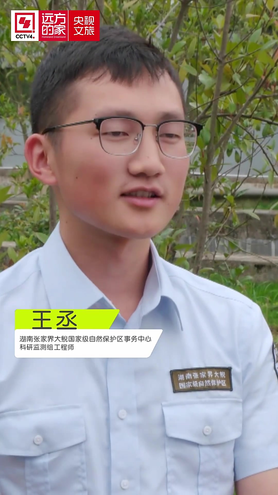 雄性大鲵独立照顾1000余个娃,这“奶爸”太有担当了