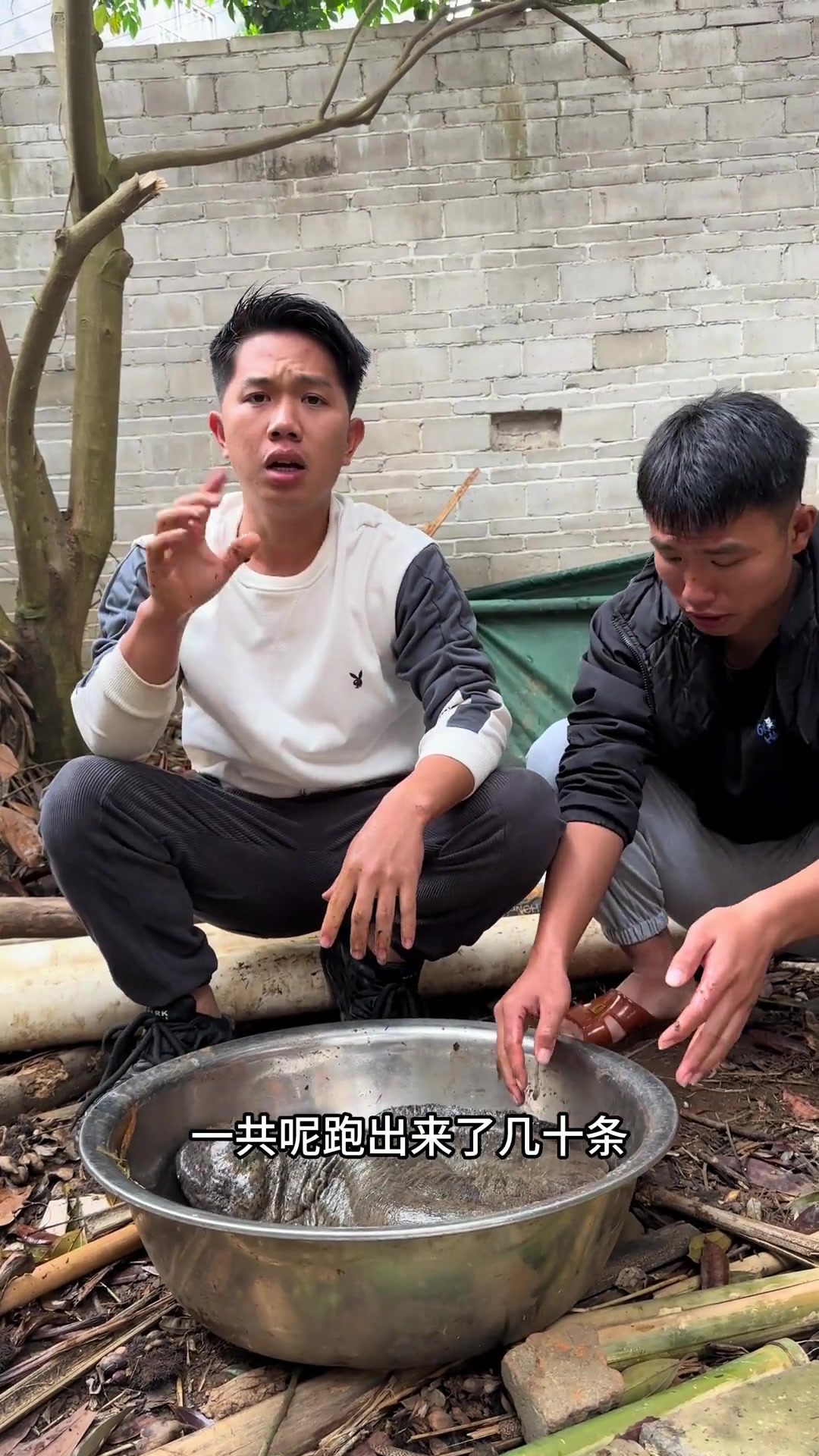抽干看看几十斤的娃娃鱼什么样子