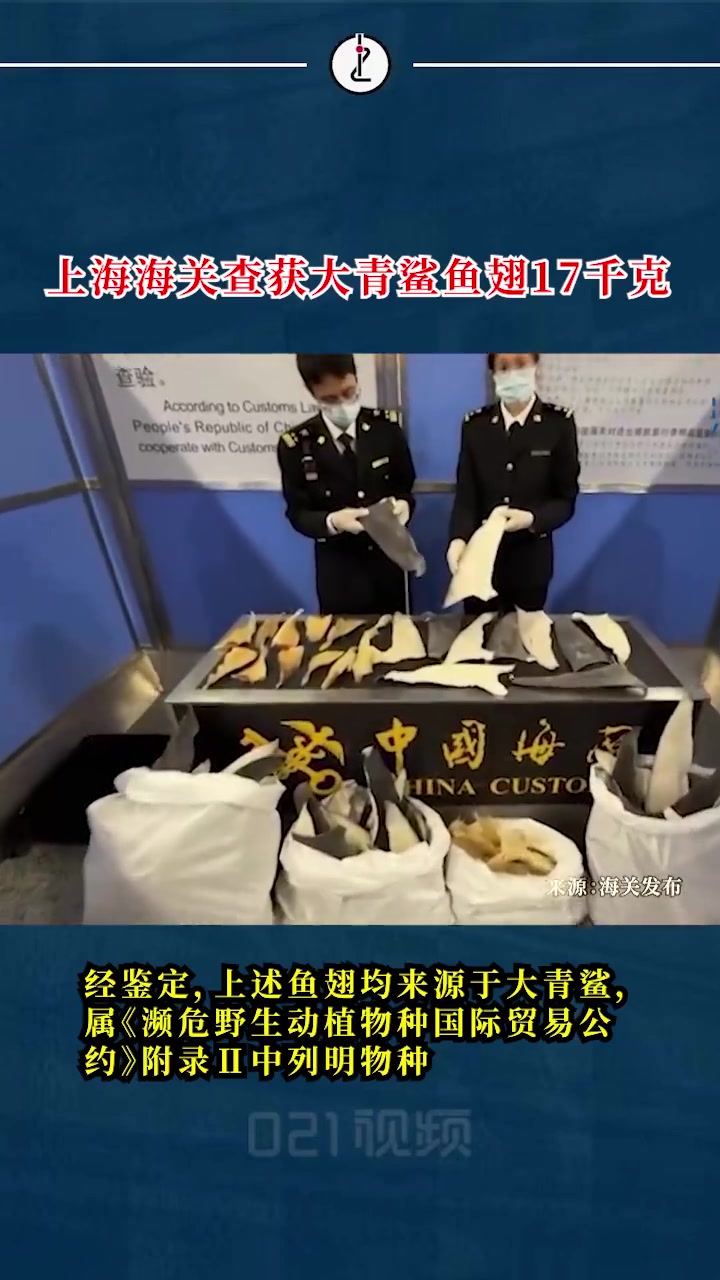 聚 海关发布,近日,上海浦东国际机场,4名选择无申报通道通关的同行旅客行李物品存在异常,且