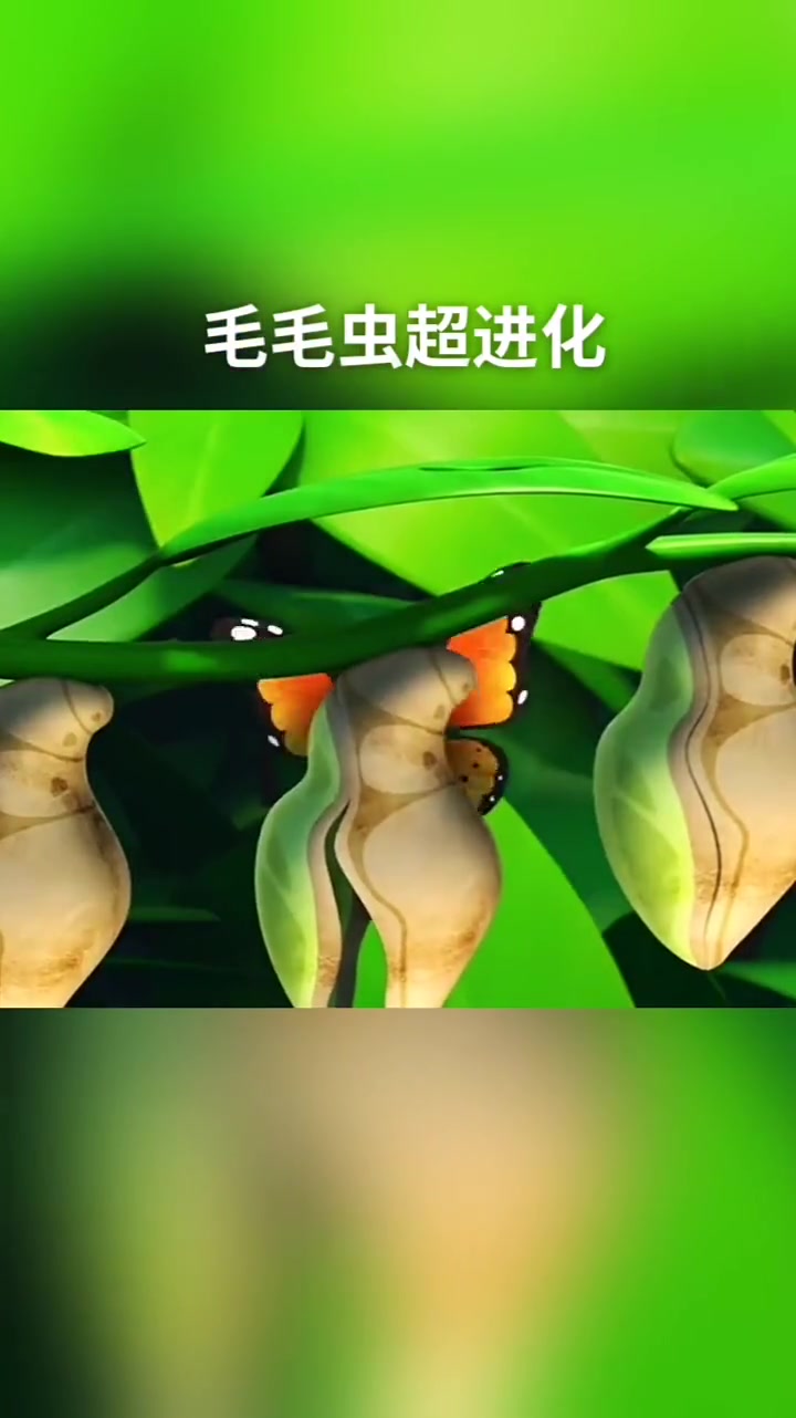 超级宝贝jojo 0 -3岁儿童启蒙动画片