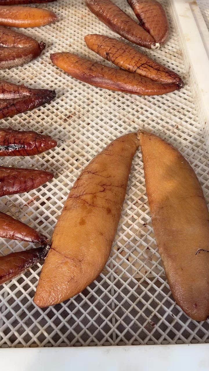 大鲅鱼籽晾晒中,强的厉害