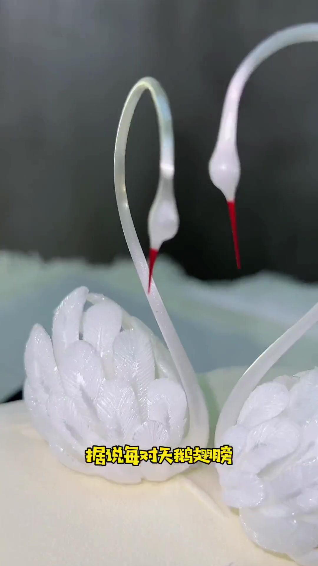 如果还有人不知道黑天鹅蛋糕的外卖员很帅我会难过的ok?你们觉得自己2999值吗?黑天鹅黑天