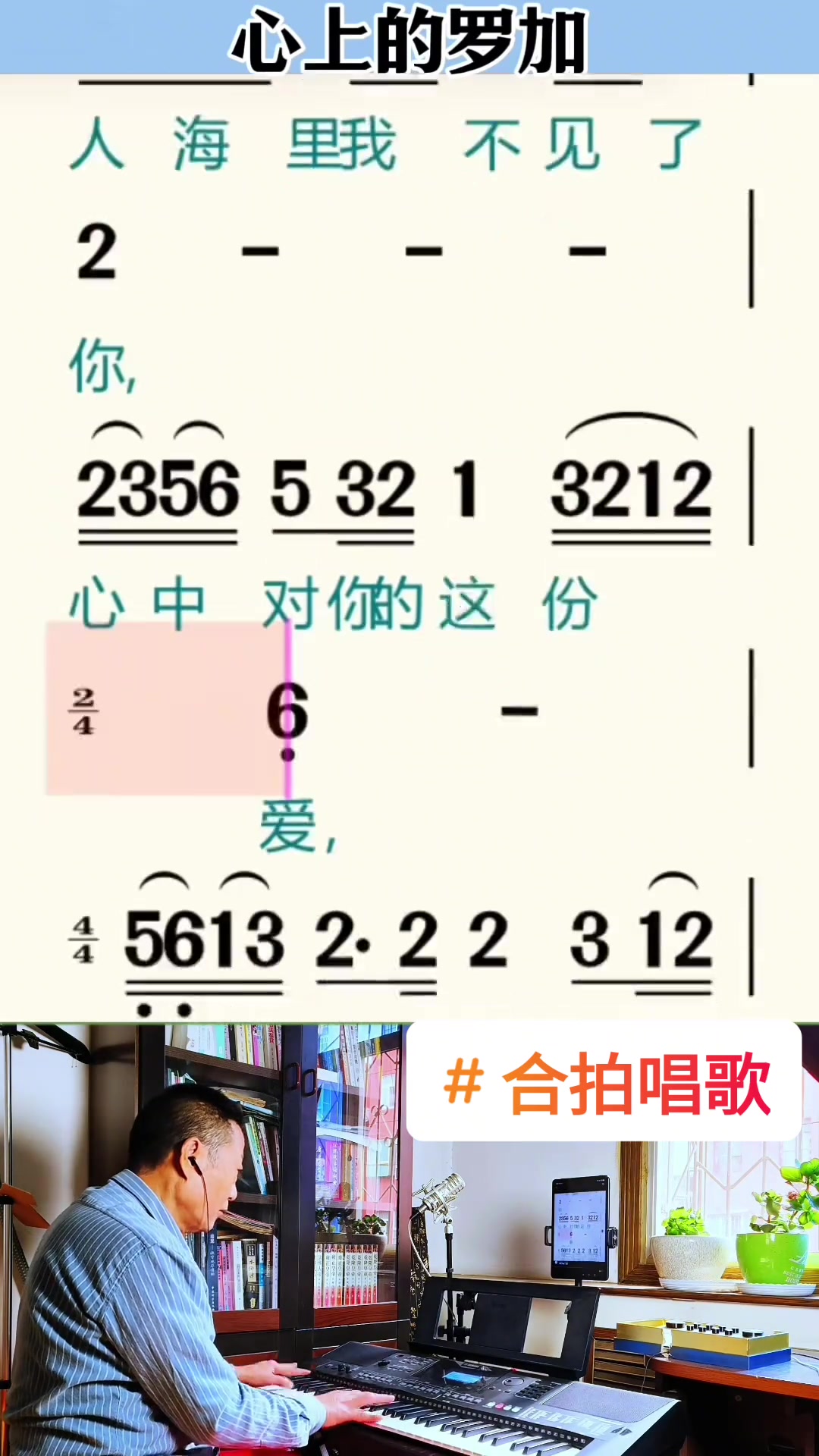心上的罗加简谱视唱 心上的罗加 简谱 电子琴演奏 合拍唱歌