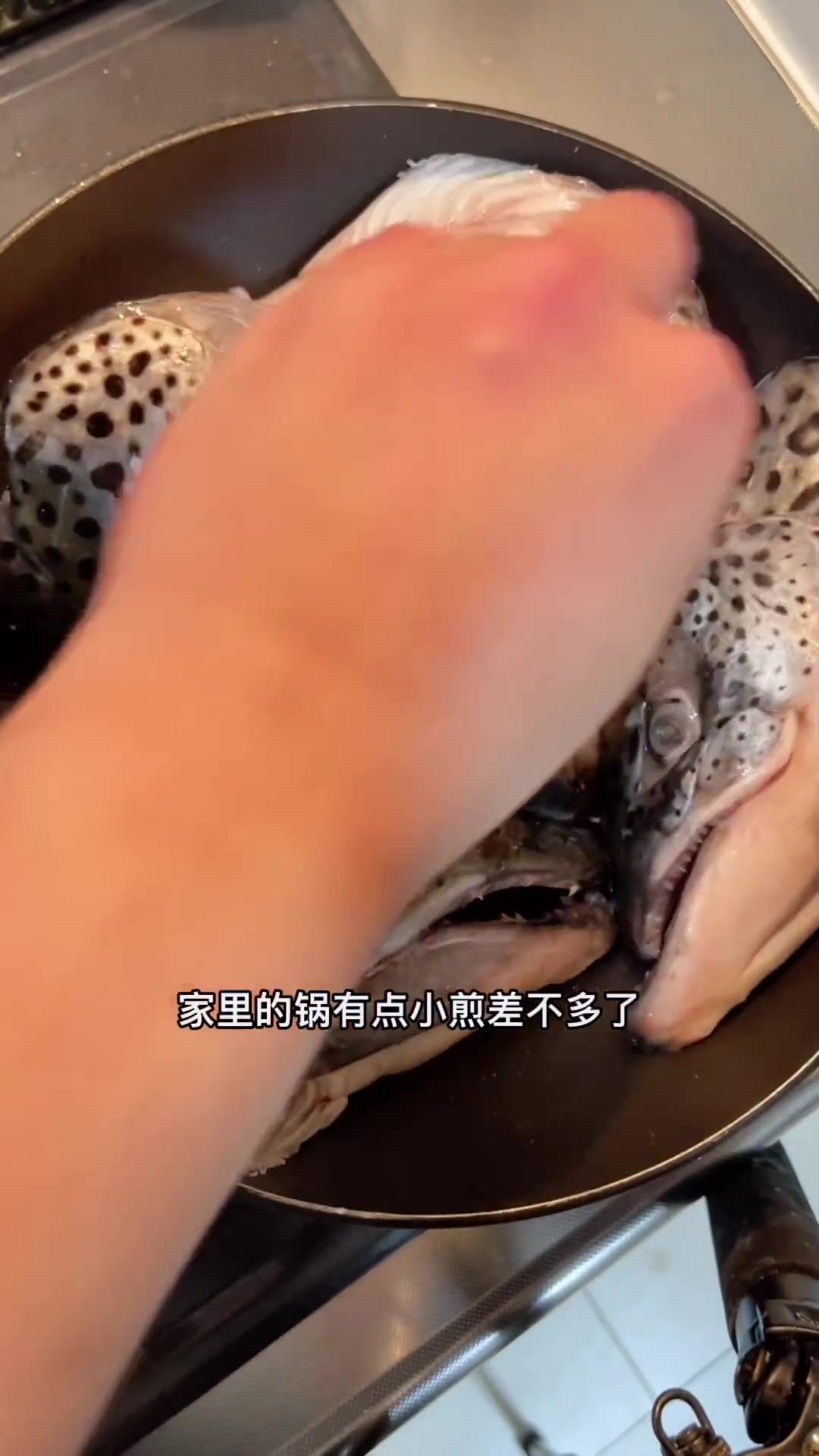 这脆骨的口感好棒呀!北海道三文鱼头