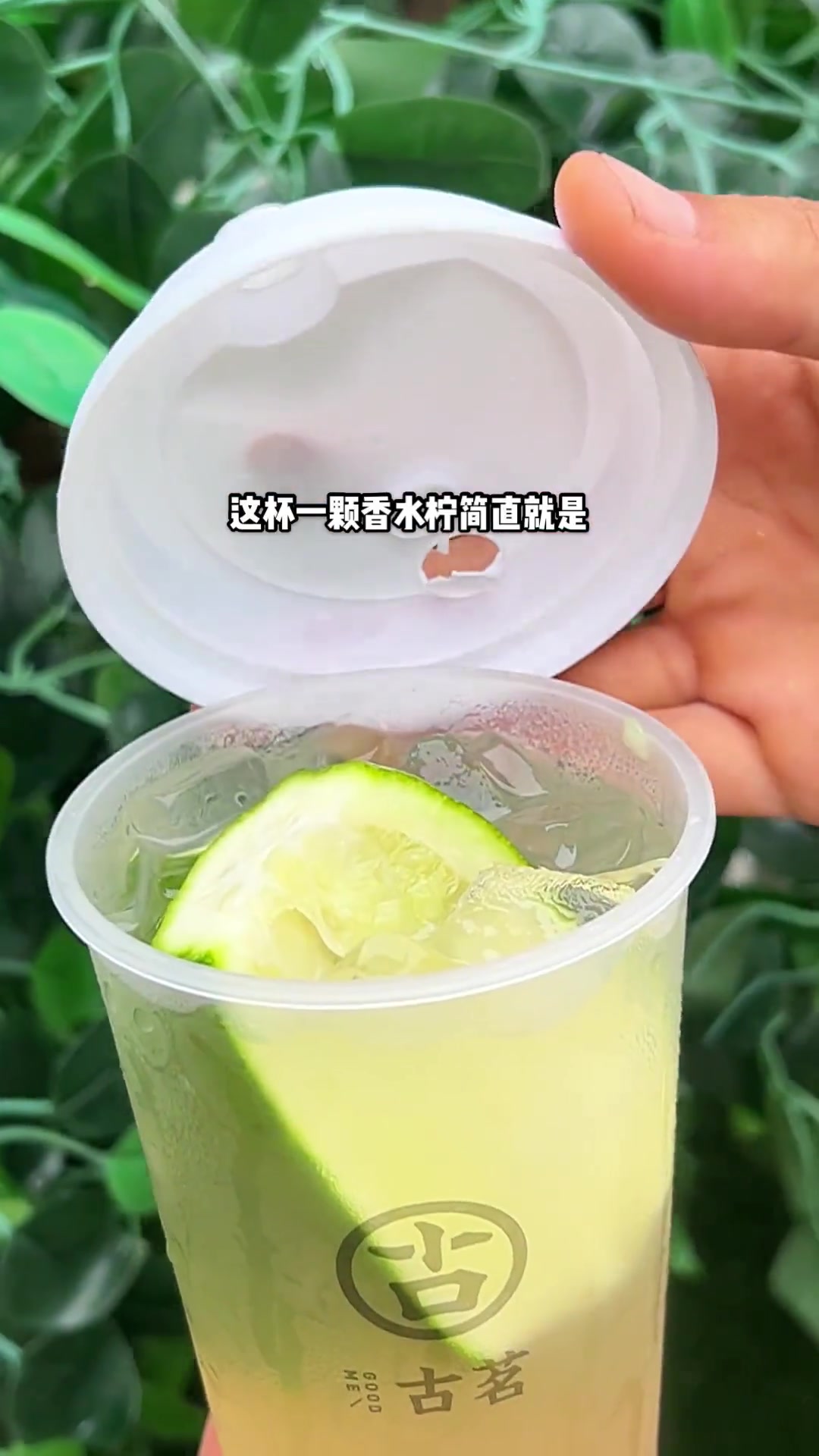夏日清爽解腻神器古茗的一颗香水柠也太可了吧!古茗新品奶茶夏日饮品