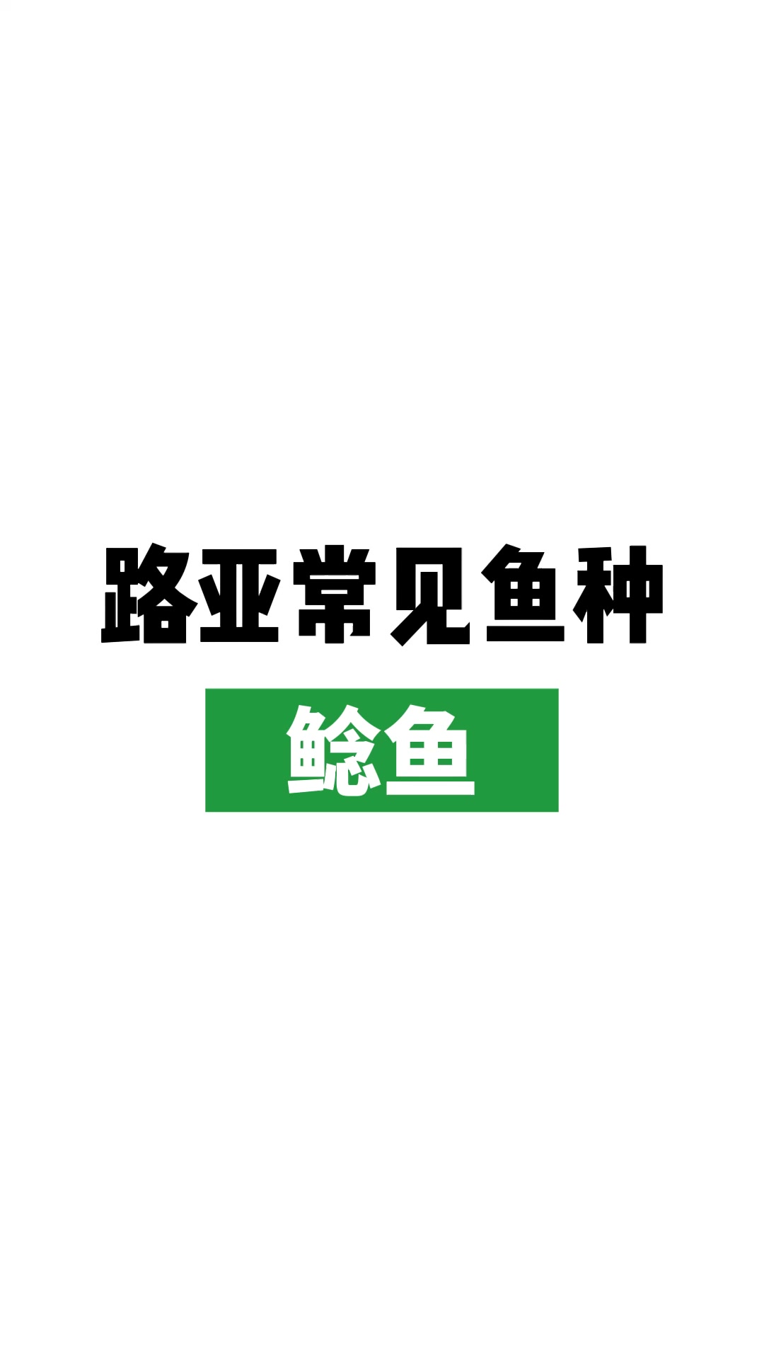 路亚雏子玩路亚都能钓什么鱼