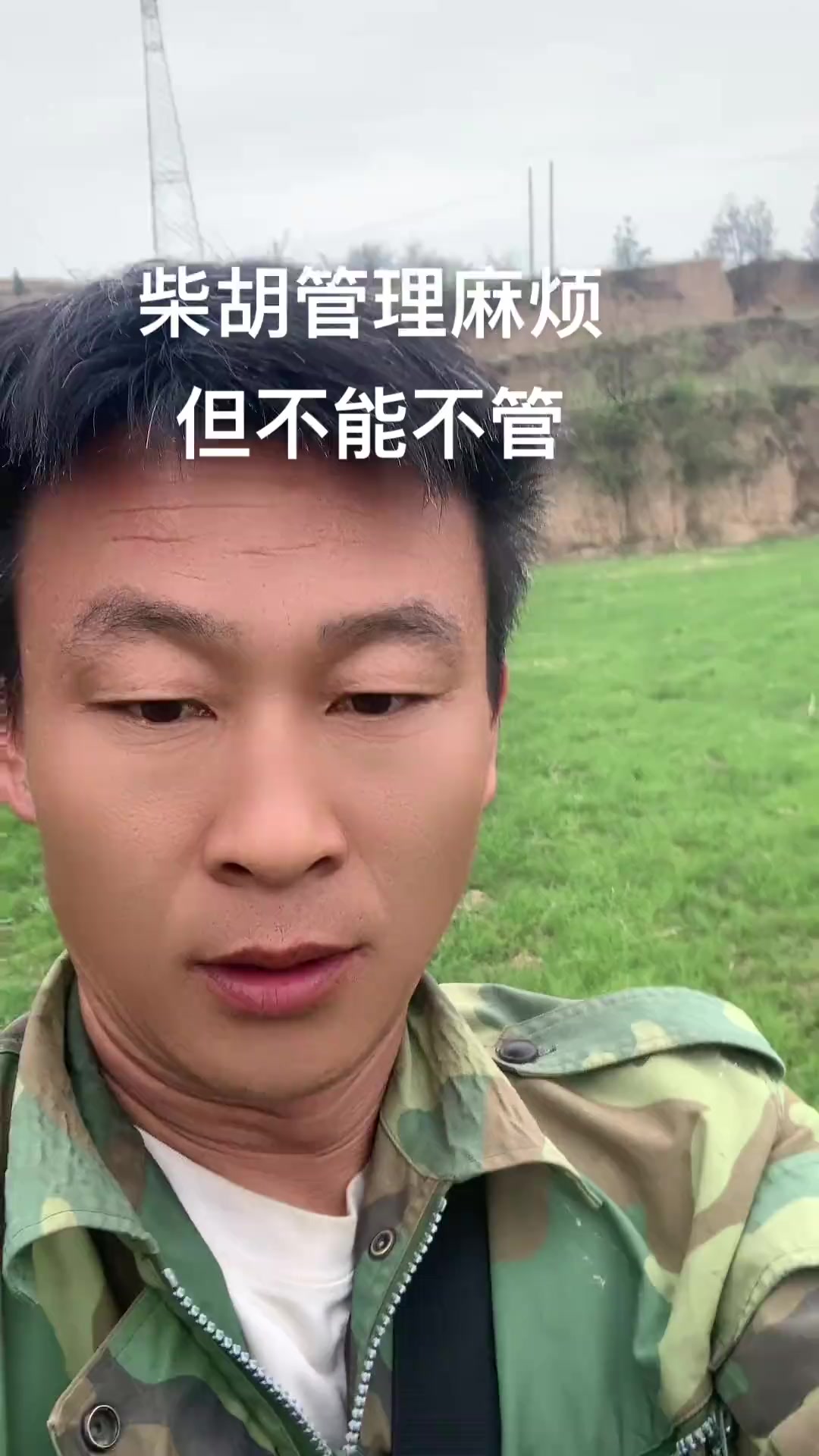 柴胡种植不能嫌麻烦
