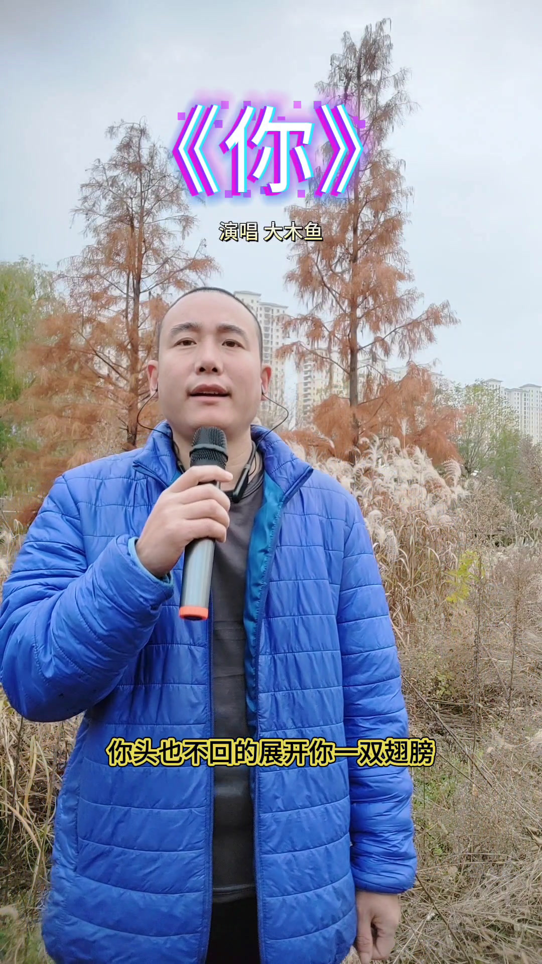 大木鱼～歌曲《你》