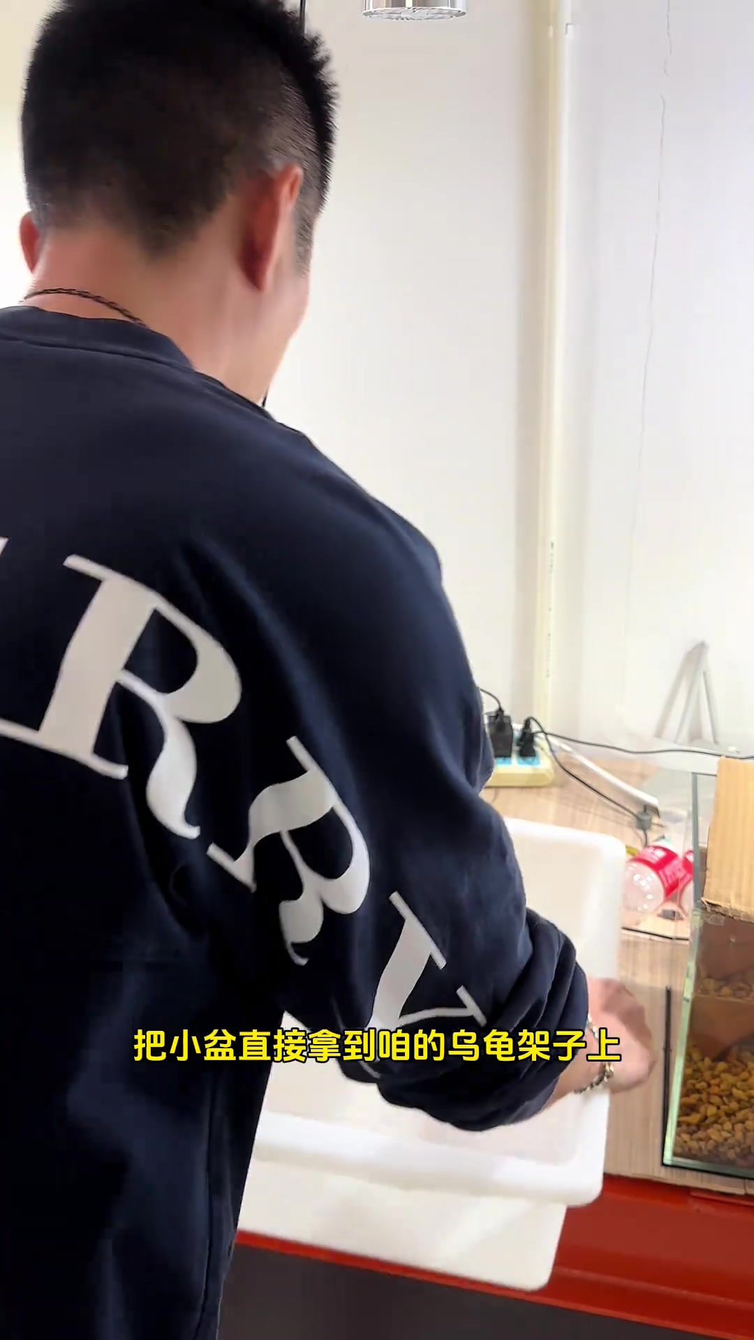 高大壮养着玩第二三七天之孵化清鳉鱼卵