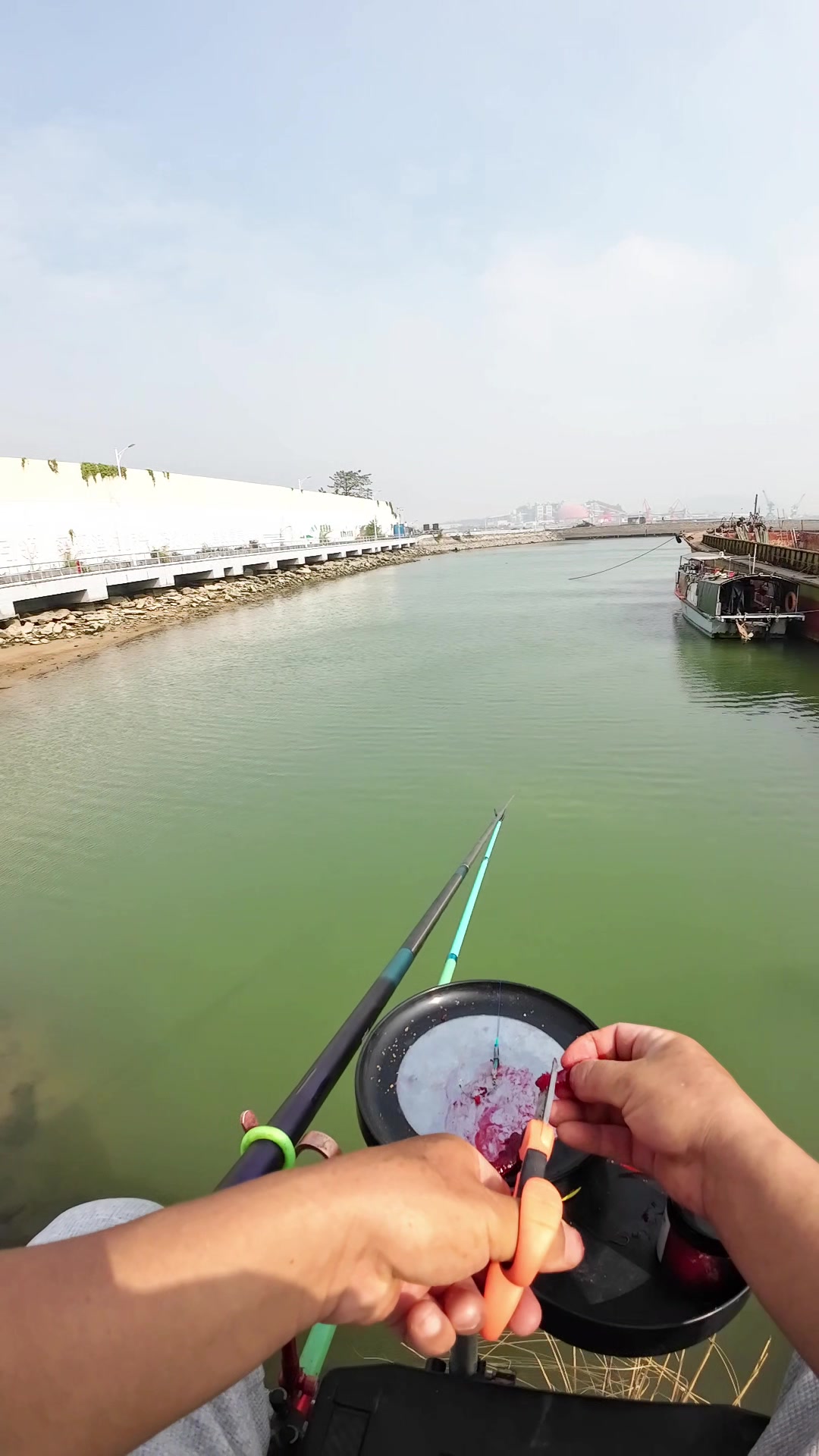 崖南海钓油腊仔鱼