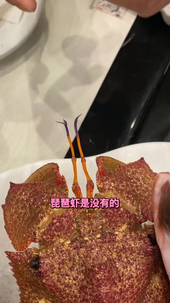 分享久违的美食-犀牛虾分享无鱼鳞比