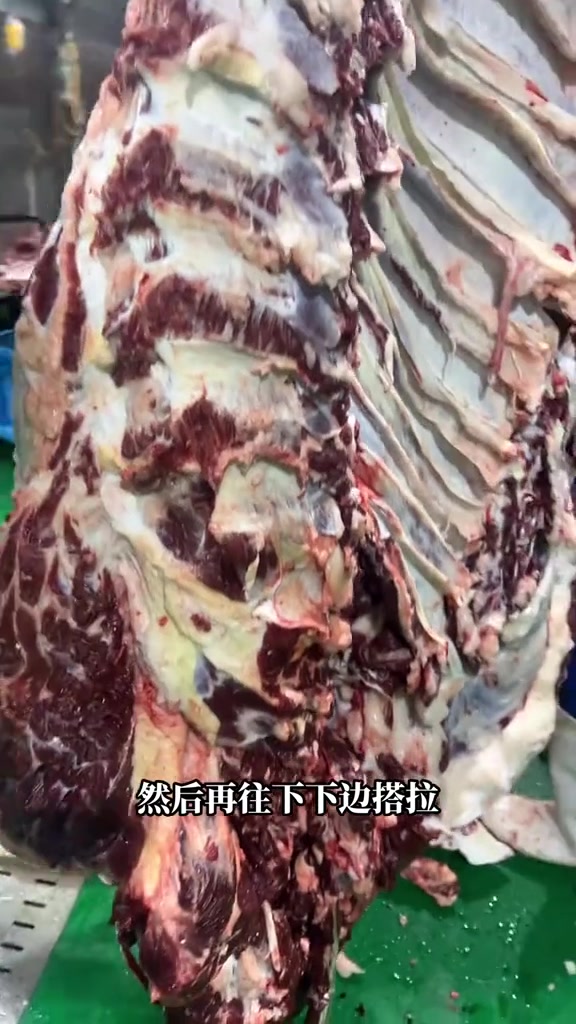 四分体牛肉的前腿部位肉现宰黄牛肉鲜牛肉牛肉部位