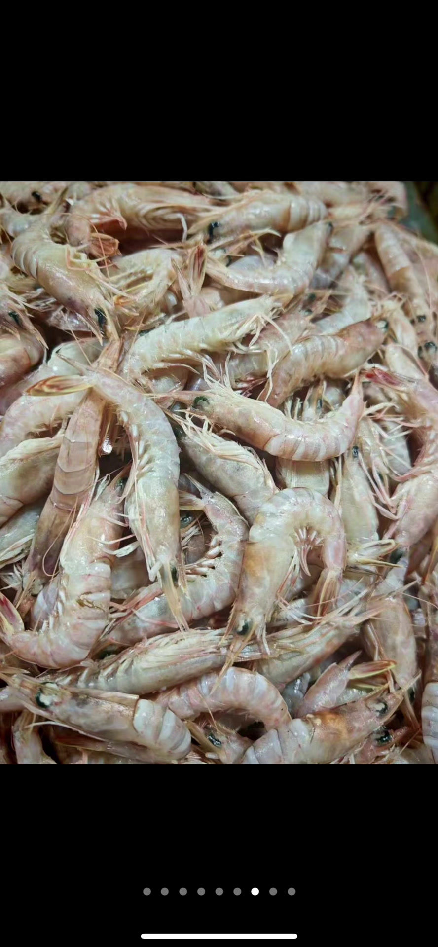 原浆现扒鹰抓虾仁,强的厉害