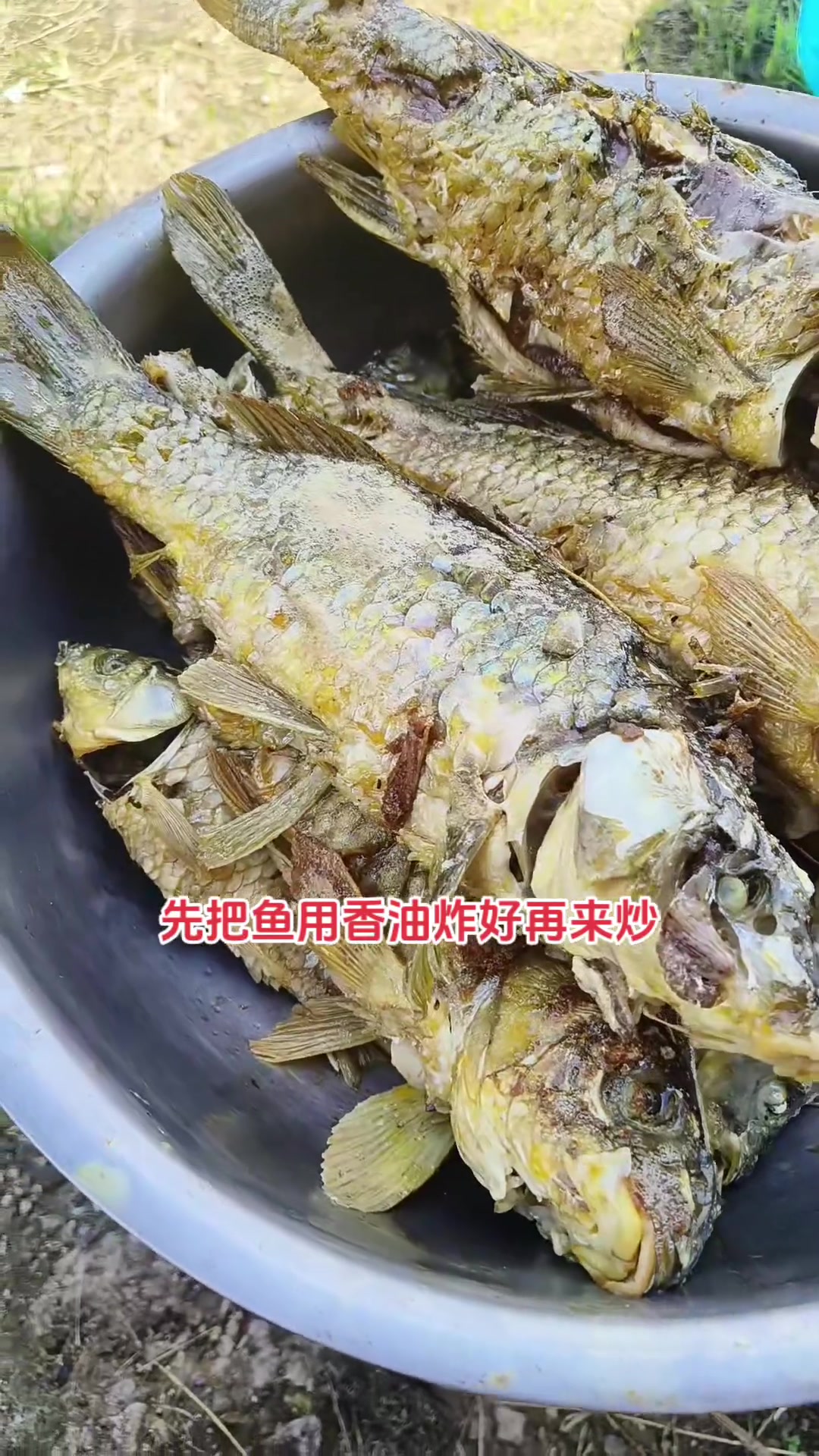 在玉屏村抓稻花鱼真的超开心,能找回小时候抓鱼的快乐!