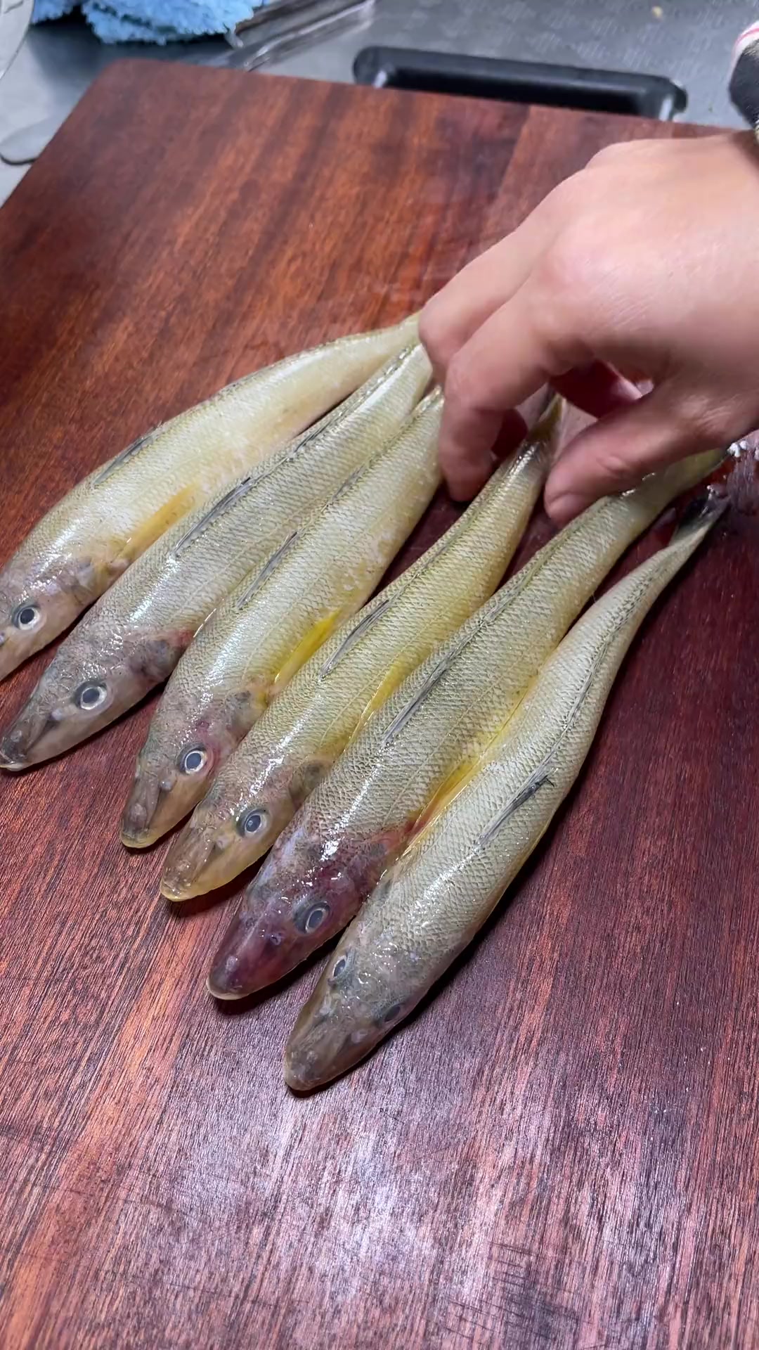 又嫩又香的船丁鱼香煎最合适了海鲜原产地