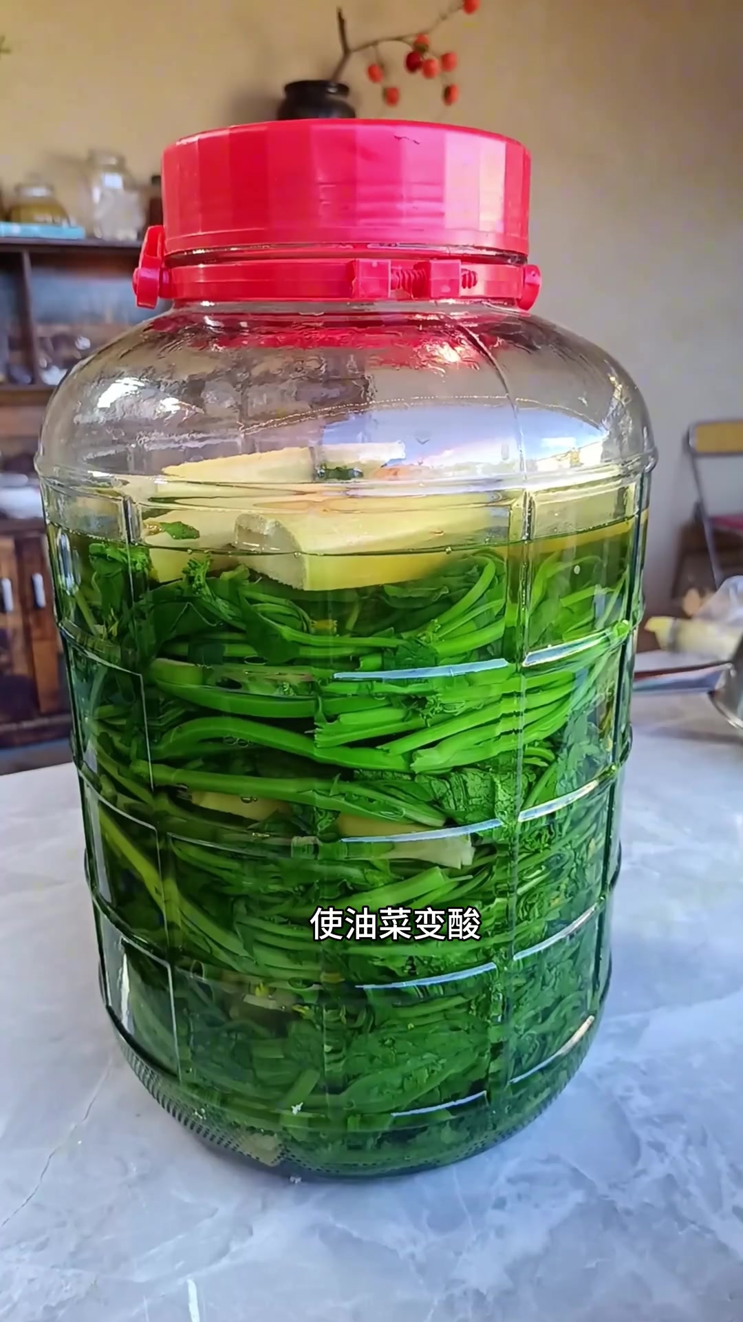 把甘蔗和油菜放一起做出来的水酸菜又酸又脆,开胃解腻,特别下饭。水酸菜油菜美味下饭菜我的乡村