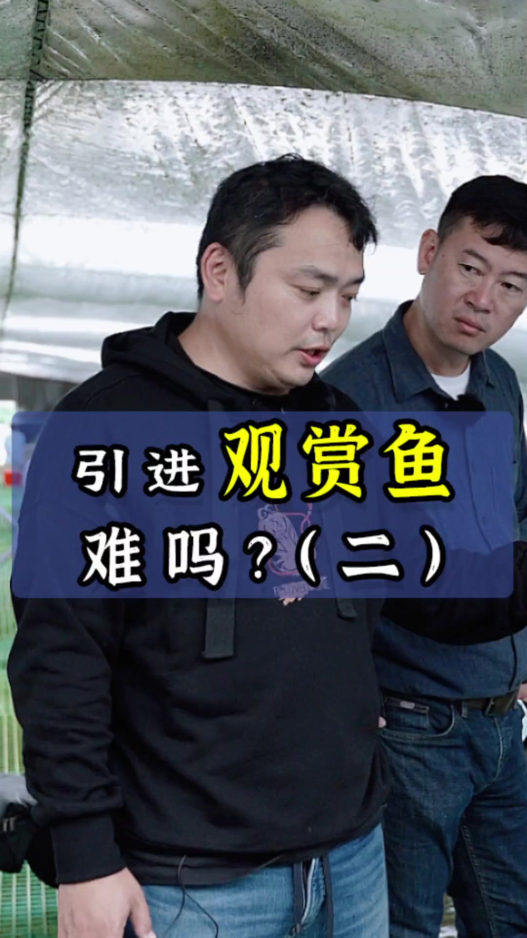 海南盘点不同热带鱼的生活习性 热带鱼 水产养殖