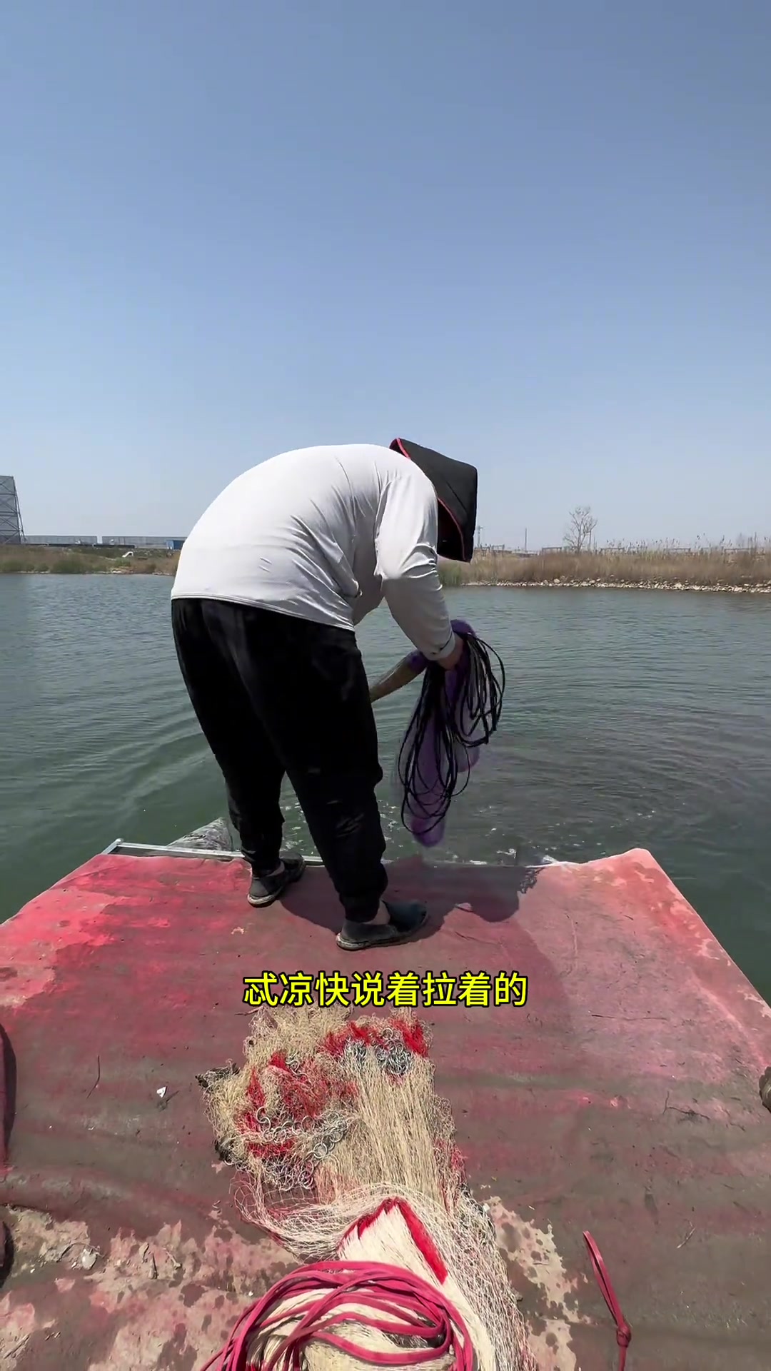 这是我见过最大的大梭鱼了