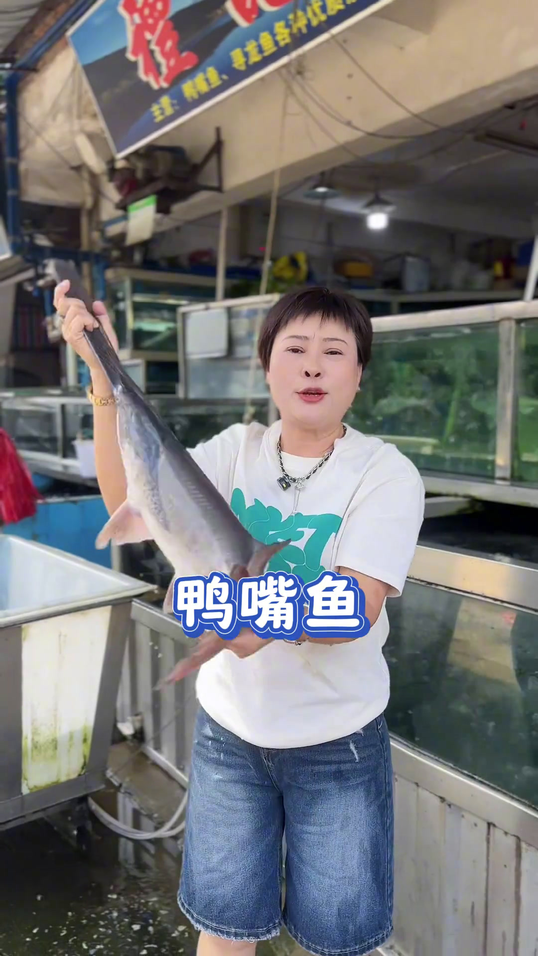 补充优质淡水鱼的品种