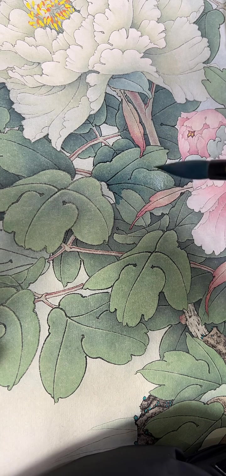 惊艳好物!朝晖白描底稿,你值得拥有!