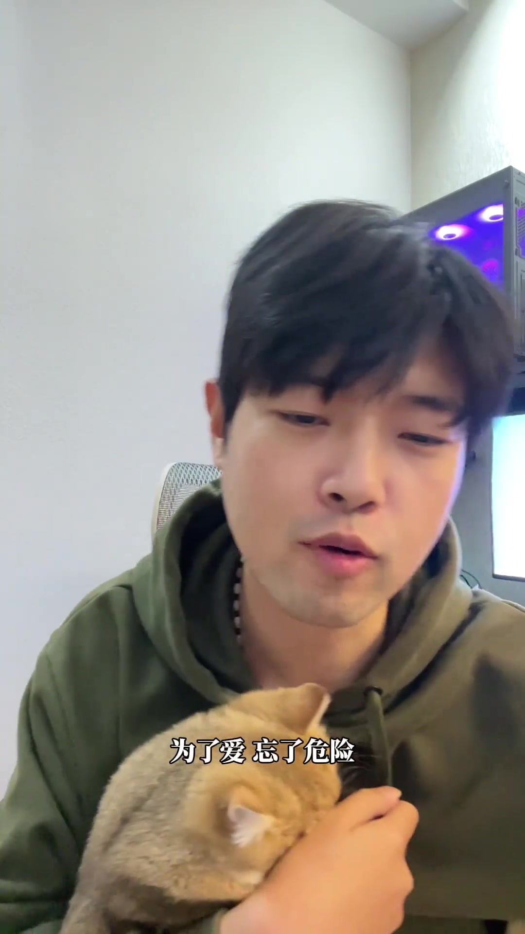 美人鱼周杰伦翻唱