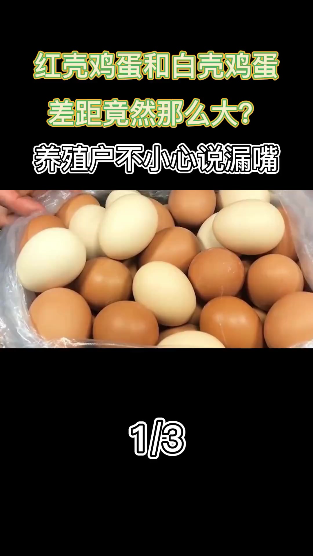 红皮鸡蛋和白皮鸡蛋差距这么大?养殖户说出真相,千万别买错了