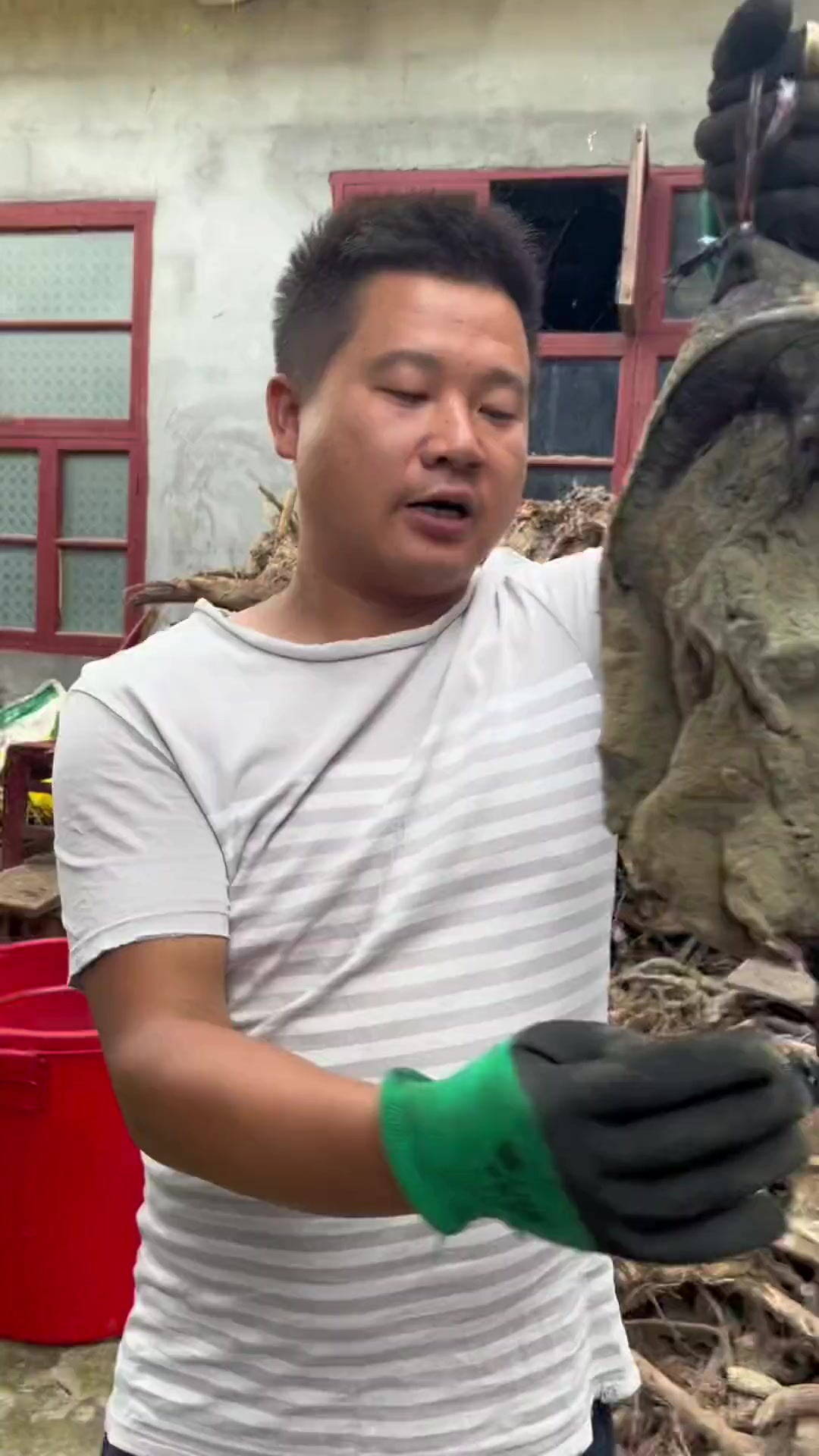 一坨5年的陈年腊肉200元卖给网友 上面长满了霉斑和包浆 切