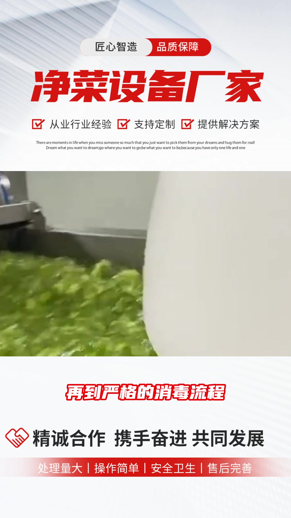 净菜加工流水线运做