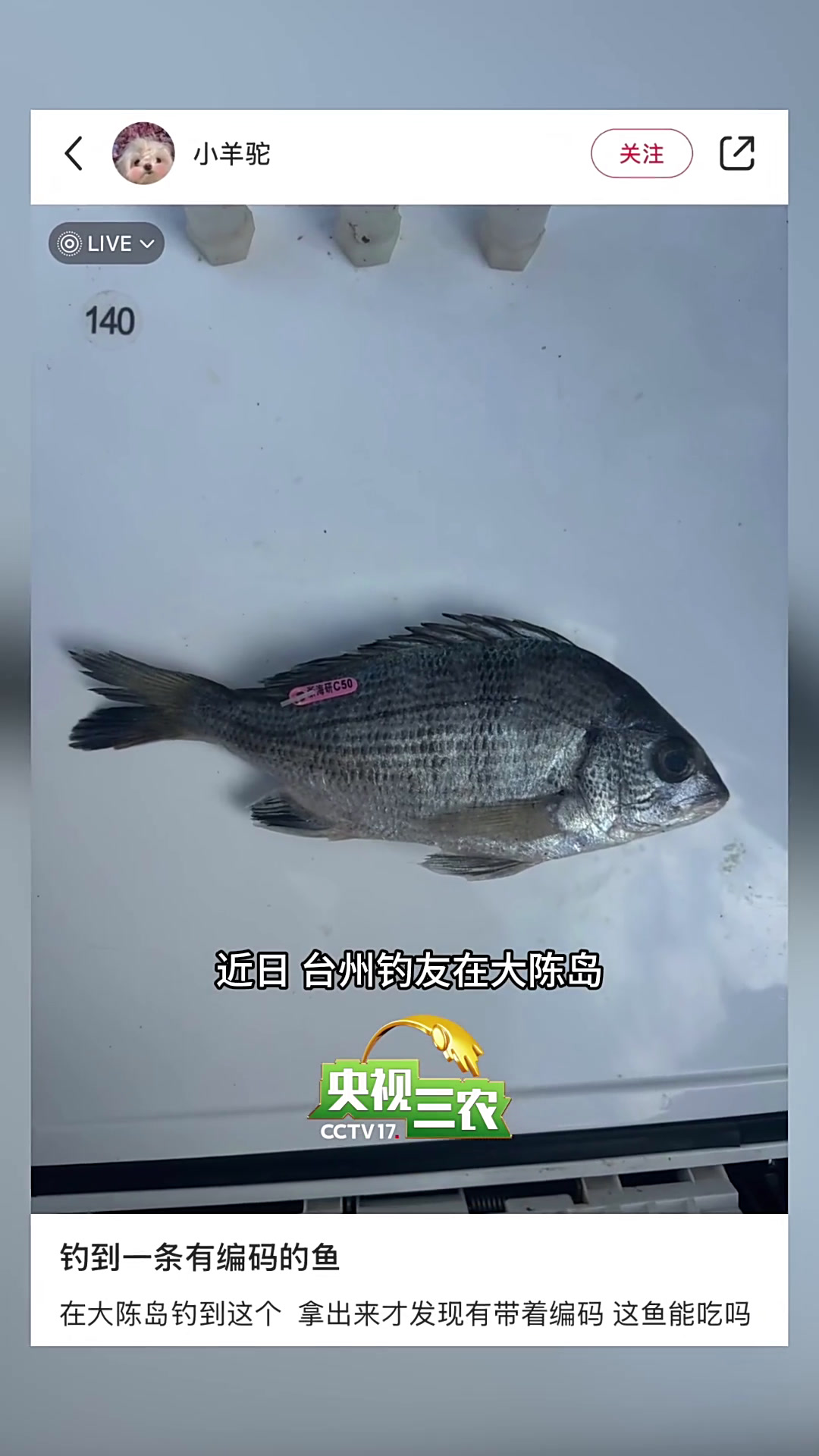 钓到这样的鱼,赶紧打电话!