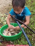 第256集|小凯做烤鱼吃,耐心的照顾弟弟 光合计划激励任务 越南孤儿小凯