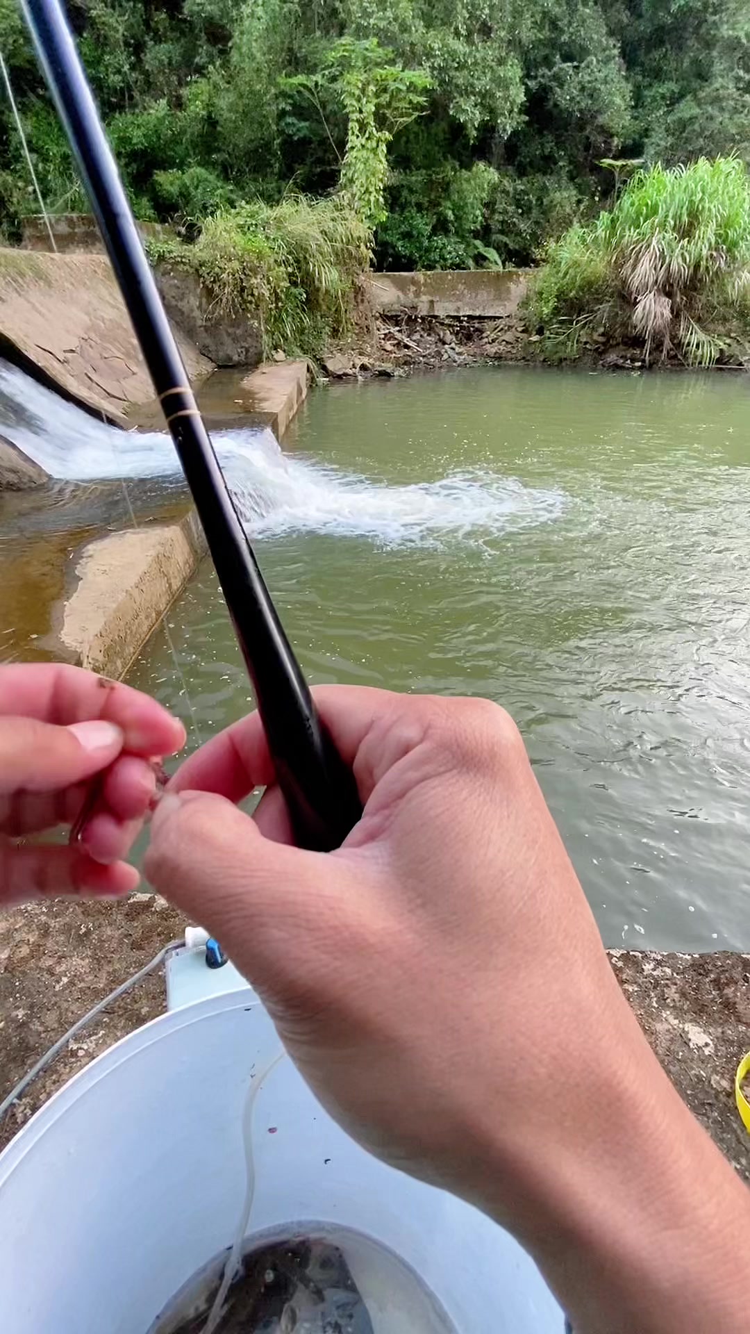 这条石斑鱼够大吧