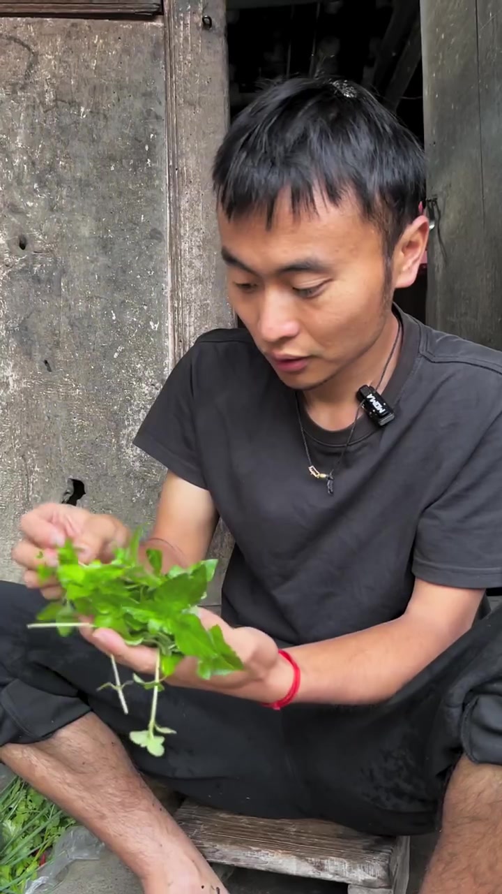 飞火油毛香菜洋芋
