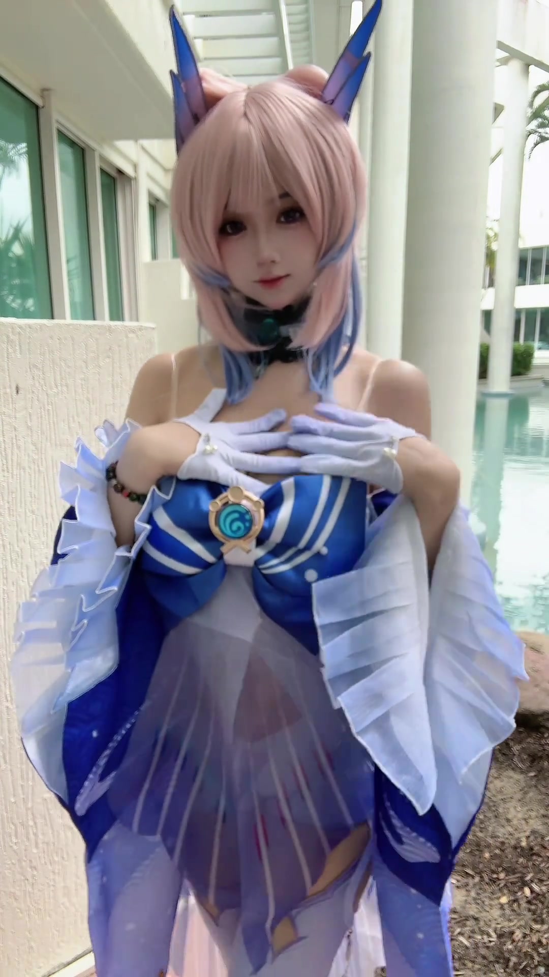 观赏鱼