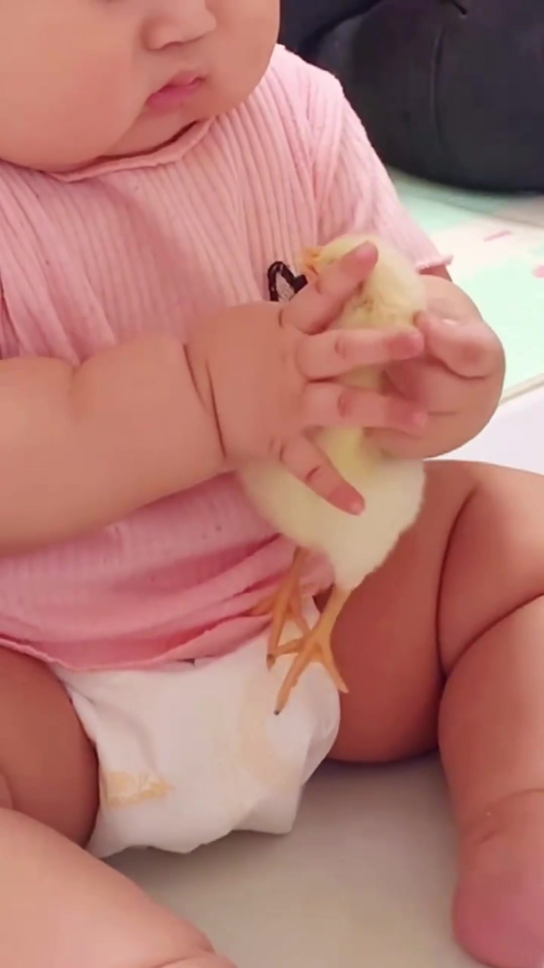 七个月宝宝和刚出生小鸡都是幼崽,看谁更厉害