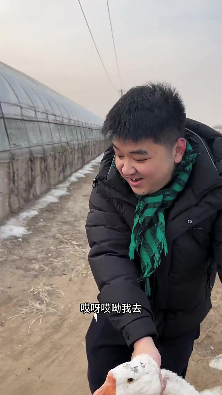 一家五口北漂,在12平宿舍的真实生活!带老公回东北娘家铁锅炖大鹅啦!感受满满的东北氛围!北