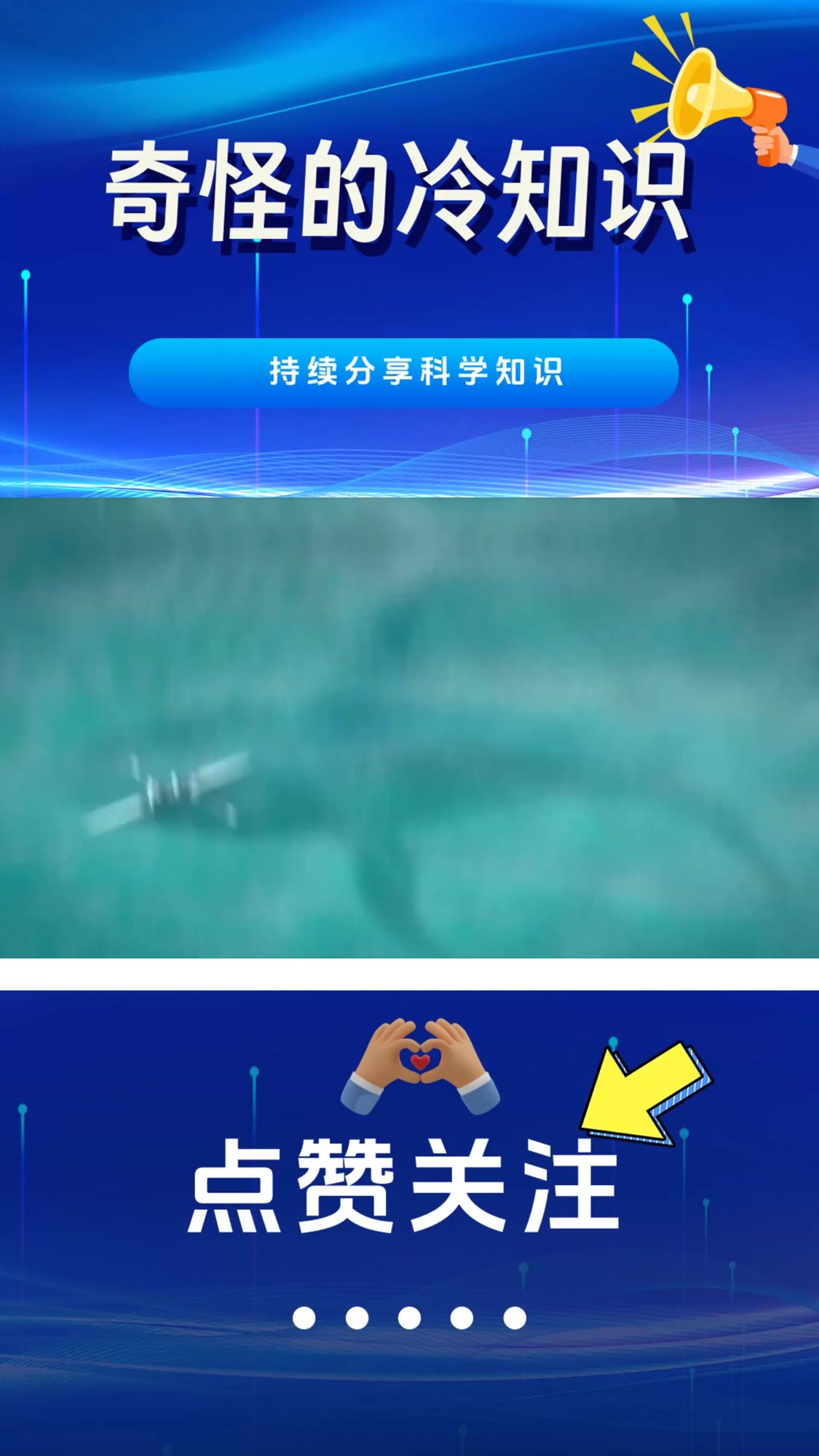 不可思议的“鲸爆”,为什么鲸鱼死后会爆炸?你知道原理吗?