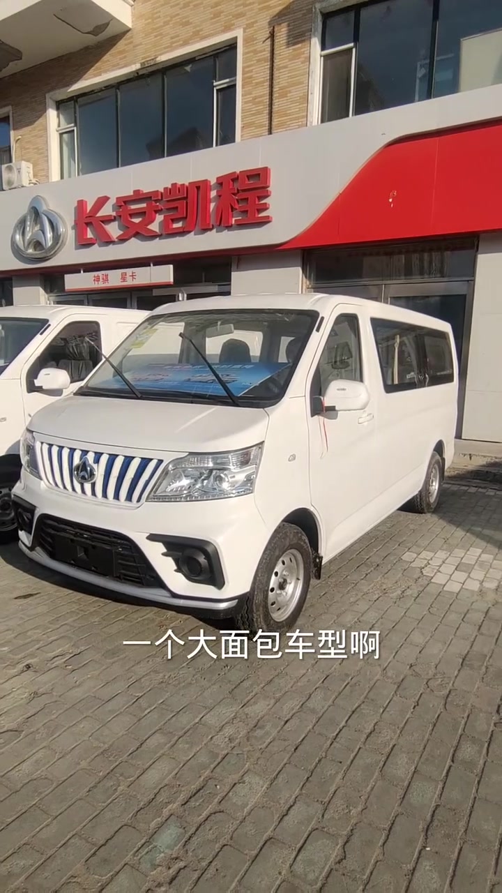 新能源客货两用车型