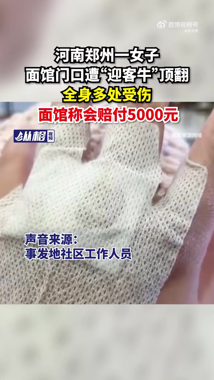 「牛肉面馆外牦牛顶翻路人 面馆回应:会赔付5000元」商家回应牦牛顶翻路人 据媒体报道,1